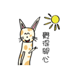 Xi Shan DuDu cat（個別スタンプ：6）