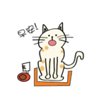 Xi Shan DuDu cat（個別スタンプ：7）