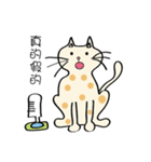 Xi Shan DuDu cat（個別スタンプ：13）