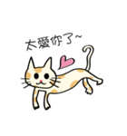Xi Shan DuDu cat（個別スタンプ：14）