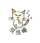Xi Shan DuDu cat（個別スタンプ：15）