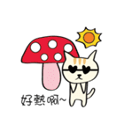 Xi Shan DuDu cat（個別スタンプ：16）