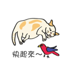 Xi Shan DuDu cat（個別スタンプ：17）