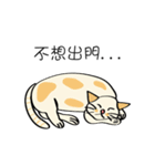 Xi Shan DuDu cat（個別スタンプ：18）