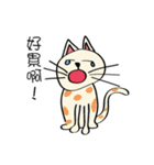 Xi Shan DuDu cat（個別スタンプ：21）