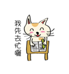 Xi Shan DuDu cat（個別スタンプ：24）