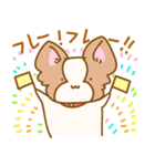 ほんわか★パピヨン犬★（個別スタンプ：1）