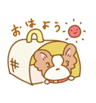 ほんわか★パピヨン犬★（個別スタンプ：13）