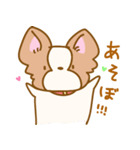 ほんわか★パピヨン犬★（個別スタンプ：38）