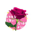 バラ・梅・桜・菜の花・たんぽぽ（写真）（個別スタンプ：18）