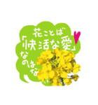 バラ・梅・桜・菜の花・たんぽぽ（写真）（個別スタンプ：19）