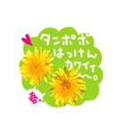バラ・梅・桜・菜の花・たんぽぽ（写真）（個別スタンプ：24）