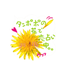バラ・梅・桜・菜の花・たんぽぽ（写真）（個別スタンプ：25）