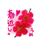 バラ・梅・桜・菜の花・たんぽぽ（写真）（個別スタンプ：26）