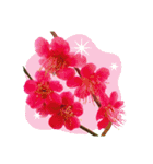 バラ・梅・桜・菜の花・たんぽぽ（写真）（個別スタンプ：31）