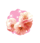 バラ・梅・桜・菜の花・たんぽぽ（写真）（個別スタンプ：34）