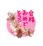 バラ・梅・桜・菜の花・たんぽぽ（写真）（個別スタンプ：37）