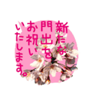 バラ・梅・桜・菜の花・たんぽぽ（写真）（個別スタンプ：40）