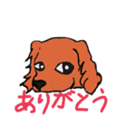 アニマル画でご挨拶（個別スタンプ：5）