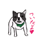 アニマル画でご挨拶（個別スタンプ：10）