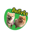 Pecky ＆ Teenoi（個別スタンプ：1）