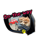 Pecky ＆ Teenoi（個別スタンプ：9）