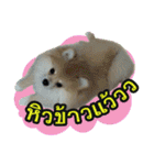 Pecky ＆ Teenoi（個別スタンプ：19）