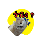 Pecky ＆ Teenoi（個別スタンプ：23）
