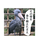 はしびー（個別スタンプ：7）