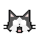 Pixel cats（個別スタンプ：4）