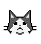 Pixel cats（個別スタンプ：6）
