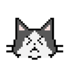 Pixel cats（個別スタンプ：7）