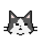 Pixel cats（個別スタンプ：9）