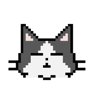 Pixel cats（個別スタンプ：10）