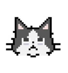Pixel cats（個別スタンプ：12）