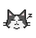 Pixel cats（個別スタンプ：15）