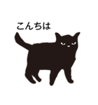 黒ネコは時々（個別スタンプ：4）