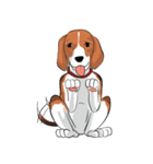 Beagle Jungbeay（個別スタンプ：9）