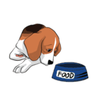 Beagle Jungbeay（個別スタンプ：13）