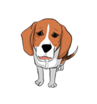 Beagle Jungbeay（個別スタンプ：18）