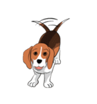 Beagle Jungbeay（個別スタンプ：19）