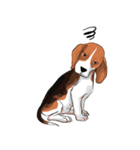 Beagle Jungbeay（個別スタンプ：21）