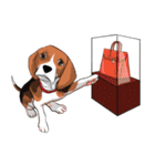 Beagle Jungbeay（個別スタンプ：32）