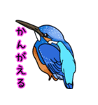 幸運の青い鳥（個別スタンプ：4）