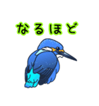 幸運の青い鳥（個別スタンプ：5）