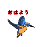 幸運の青い鳥（個別スタンプ：6）