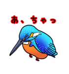 幸運の青い鳥（個別スタンプ：7）