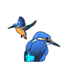 幸運の青い鳥（個別スタンプ：8）