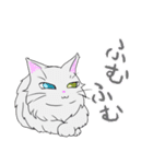 3匹のメインクーン（個別スタンプ：10）