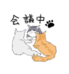 3匹のメインクーン（個別スタンプ：14）